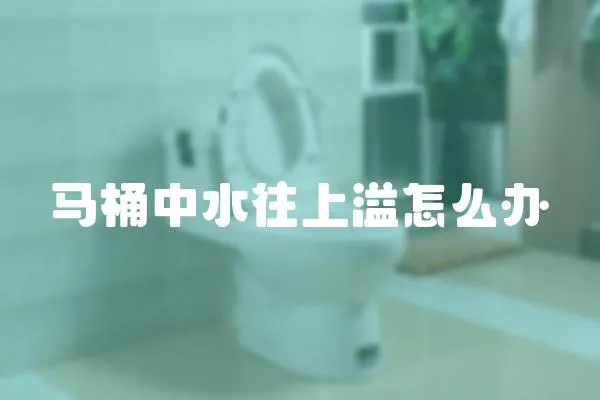 馬桶中水往上溢怎么辦