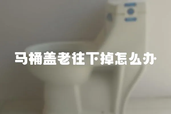 馬桶蓋老往下掉怎么辦