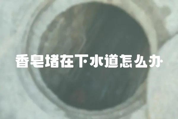 香皂堵在下水道怎么辦