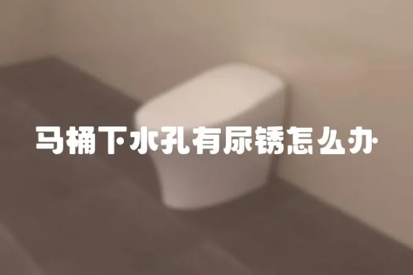 馬桶下水孔有尿銹怎么辦