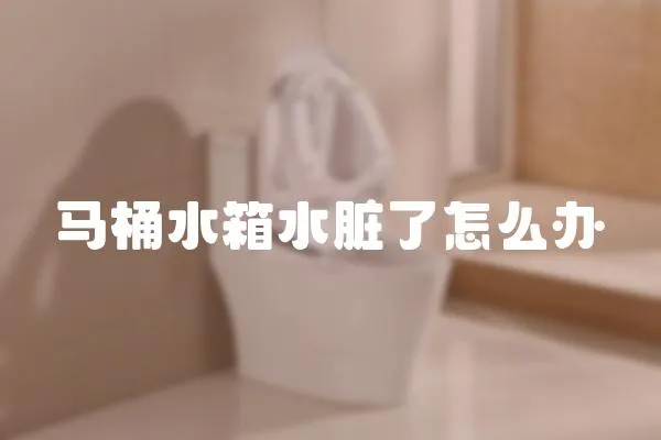 馬桶水箱水臟了怎么辦
