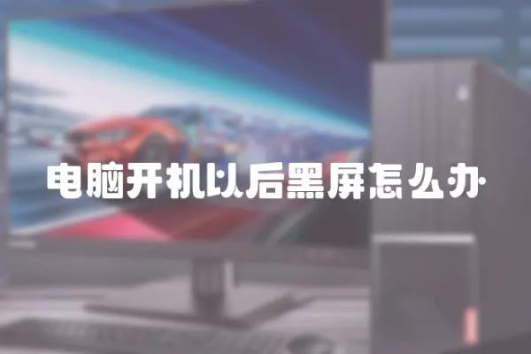 電腦開機(jī)以后黑屏怎么辦