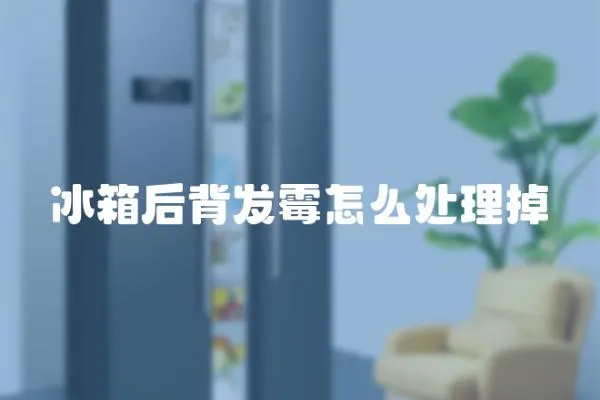 冰箱后背發(fā)霉怎么處理掉