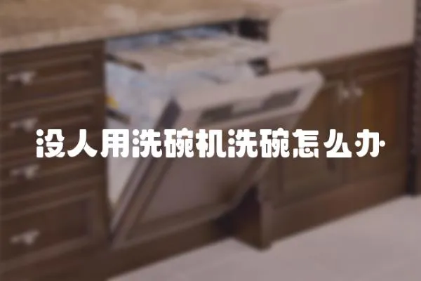 沒(méi)人用洗碗機(jī)洗碗怎么辦