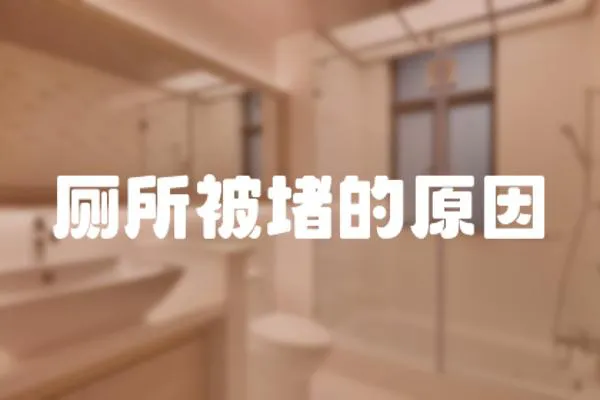 廁所被堵的原因