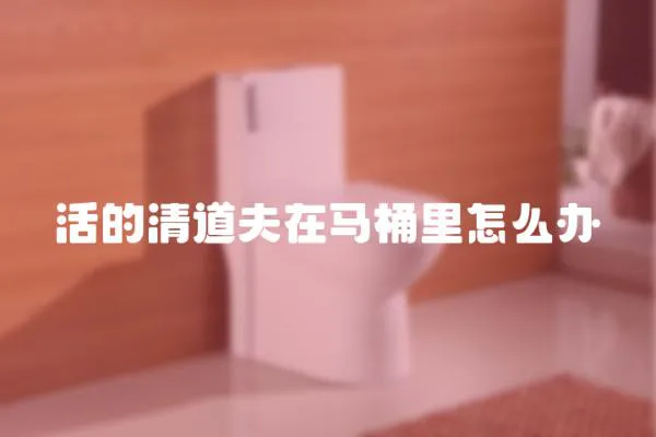 活的清道夫在馬桶里怎么辦