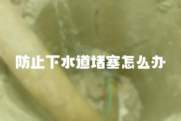 防止下水道堵塞怎么辦