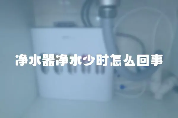 凈水器凈水少時怎么回事