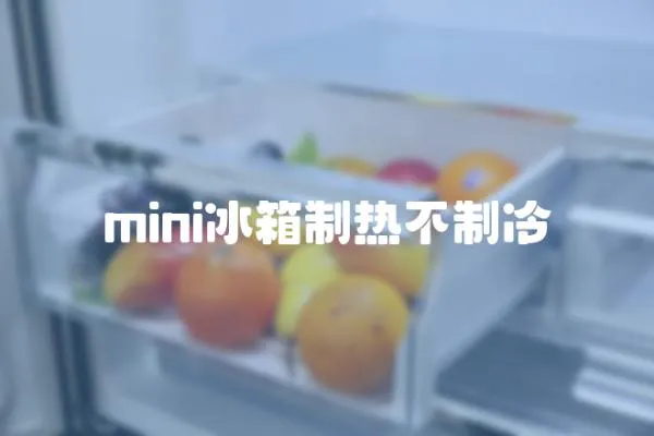mini冰箱制熱不制冷