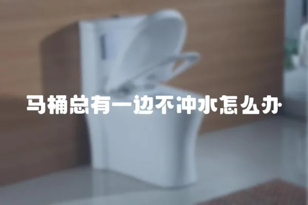 馬桶總有一邊不沖水怎么辦