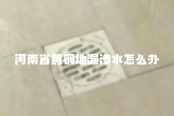 河南省黃銅地漏滲水怎么辦