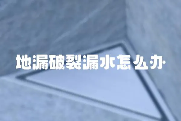 地漏破裂漏水怎么辦