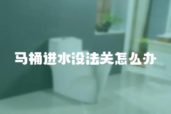 馬桶進水沒法關怎么辦