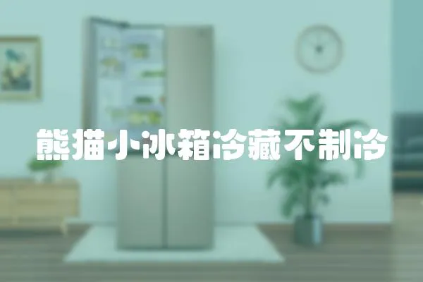 熊貓小冰箱冷藏不制冷