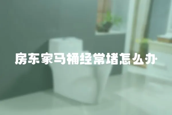房東家馬桶經(jīng)常堵怎么辦