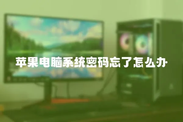 蘋果電腦系統(tǒng)密碼忘了怎么辦