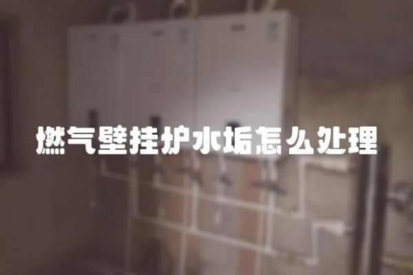 燃氣壁掛爐水垢怎么處理