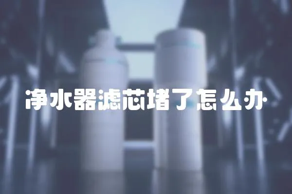 凈水器濾芯堵了怎么辦