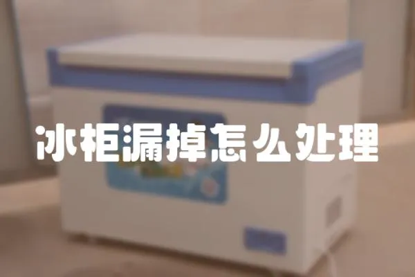 冰柜漏掉怎么處理