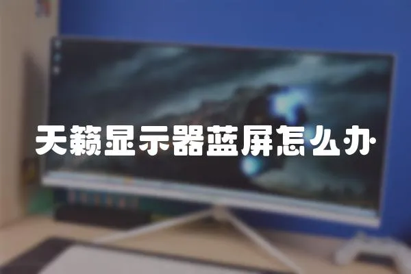 天籟顯示器藍屏怎么辦