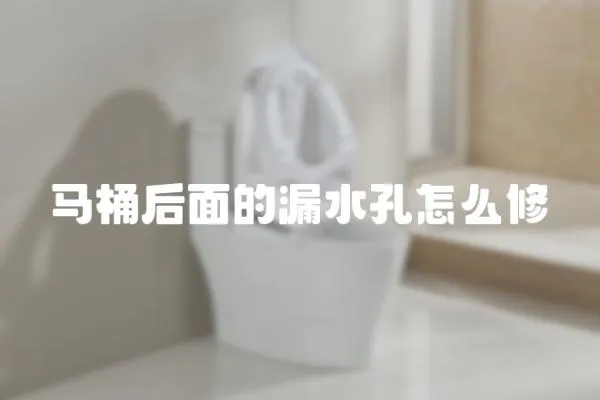 馬桶后面的漏水孔怎么修