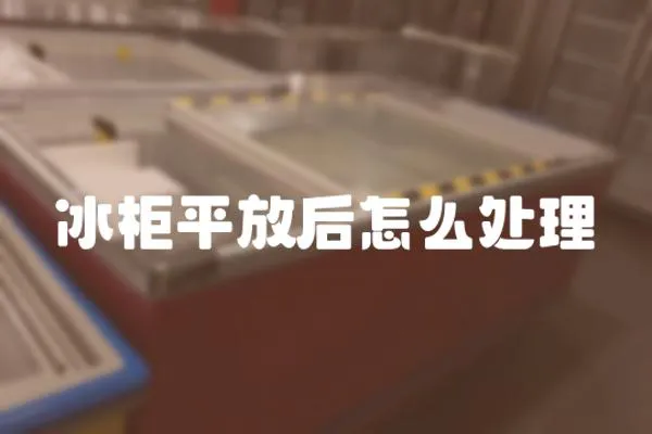 冰柜平放后怎么處理