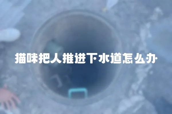貓咪把人推進下水道怎么辦