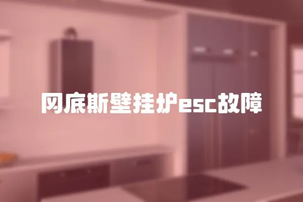 岡底斯壁掛爐esc故障