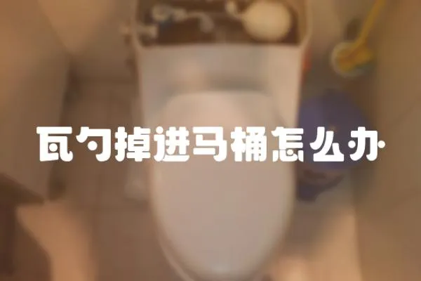 瓦勺掉進(jìn)馬桶怎么辦