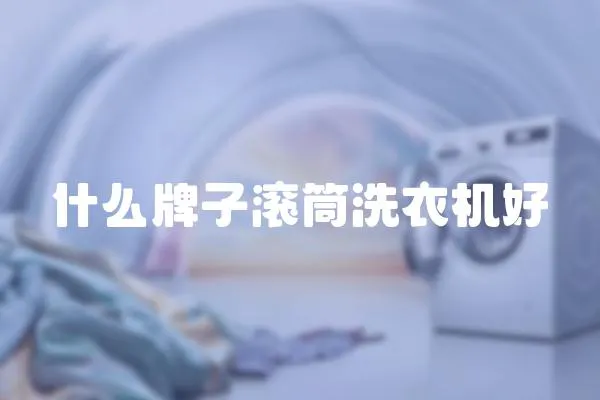 什么牌子滾筒洗衣機好