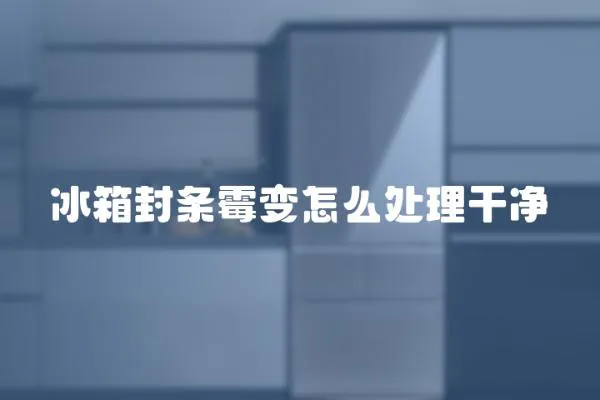 冰箱封條霉變怎么處理干凈