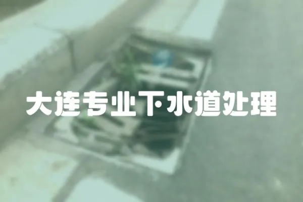 大連專業下水道處理