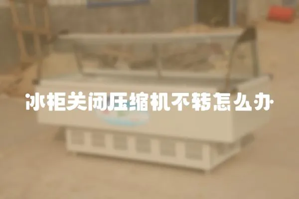 冰柜關閉壓縮機不轉怎么辦