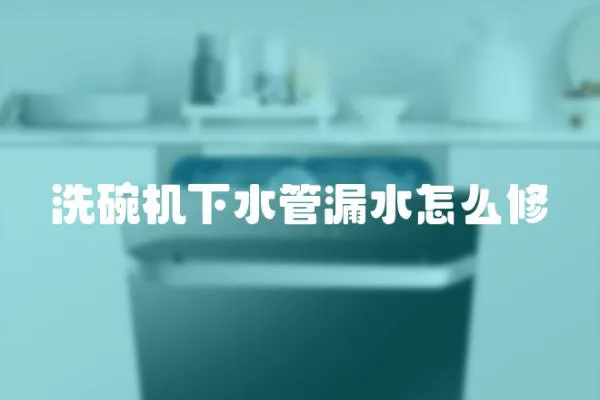 洗碗機下水管漏水怎么修