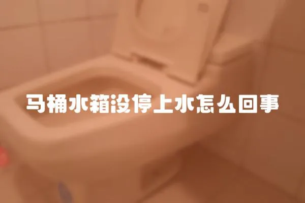 馬桶水箱沒停上水怎么回事