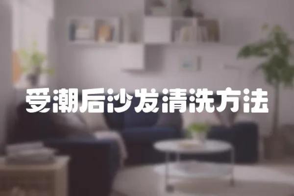 受潮后沙發(fā)清洗方法