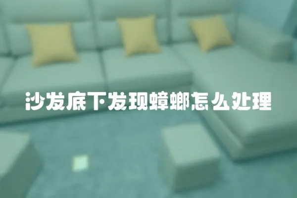沙發底下發現蟑螂怎么處理