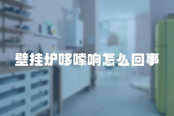 壁掛爐哆嗦響怎么回事