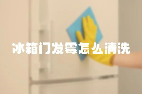冰箱門發(fā)霉怎么清洗
