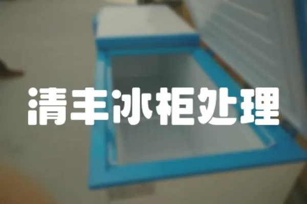 清豐冰柜處理