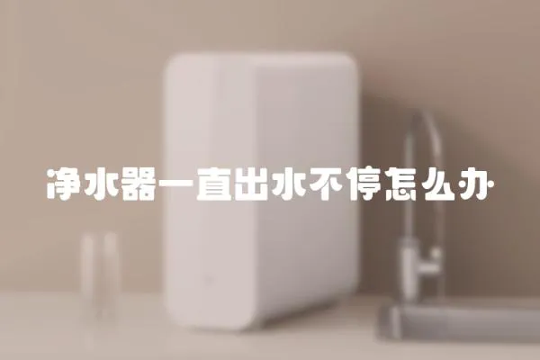 凈水器一直出水不停怎么辦