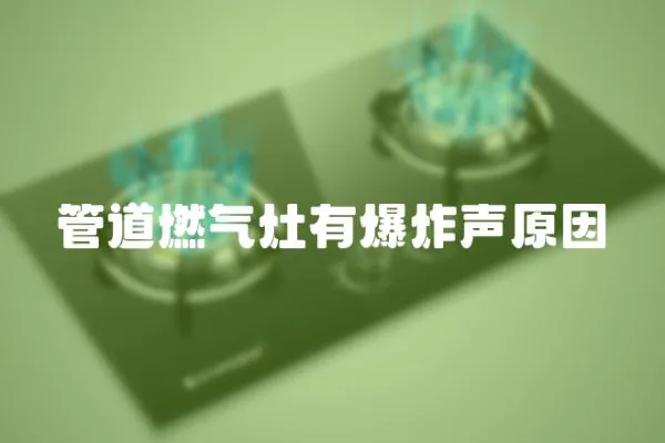 管道燃?xì)庠钣斜曉?></a></div>
                    <div   id=