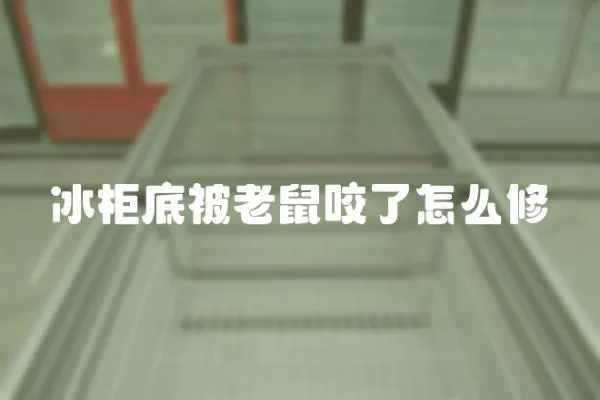冰柜底被老鼠咬了怎么修