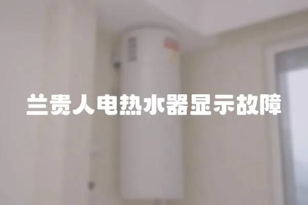 蘭貴人電熱水器顯示故障