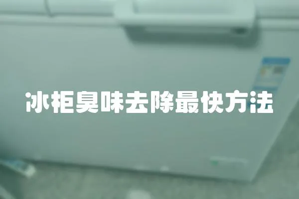 冰柜臭味去除最快方法