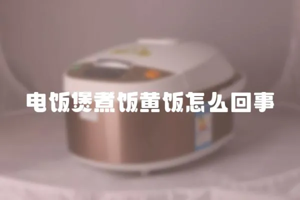 電飯煲煮飯黃飯怎么回事