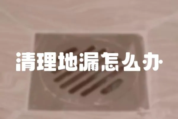 清理地漏怎么辦