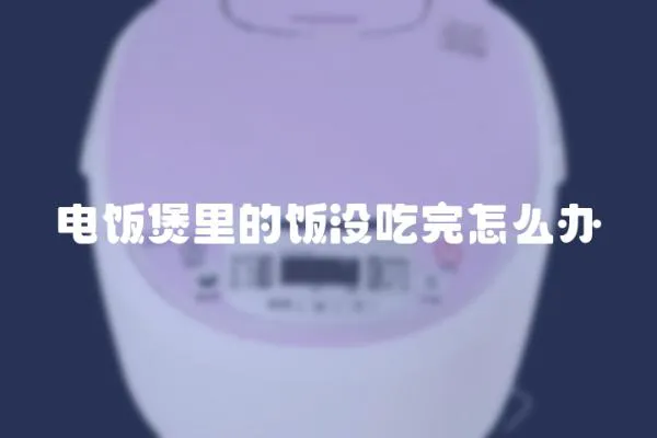電飯煲里的飯沒吃完怎么辦