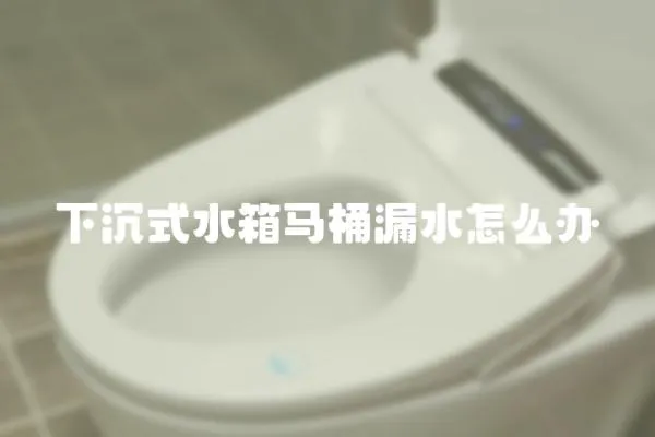 下沉式水箱馬桶漏水怎么辦