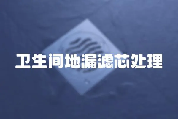 衛(wèi)生間地漏濾芯處理